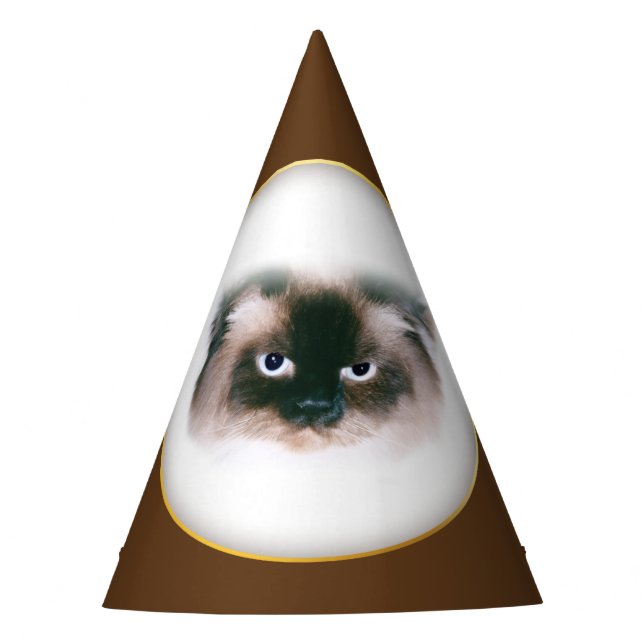 Chapéu De Festa Gato Grumpy (Frente)