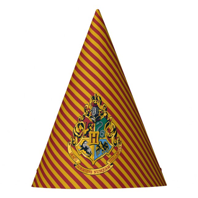 Chapéu De Festa Harry Potter | Hogwarts Aniversário (Frente)