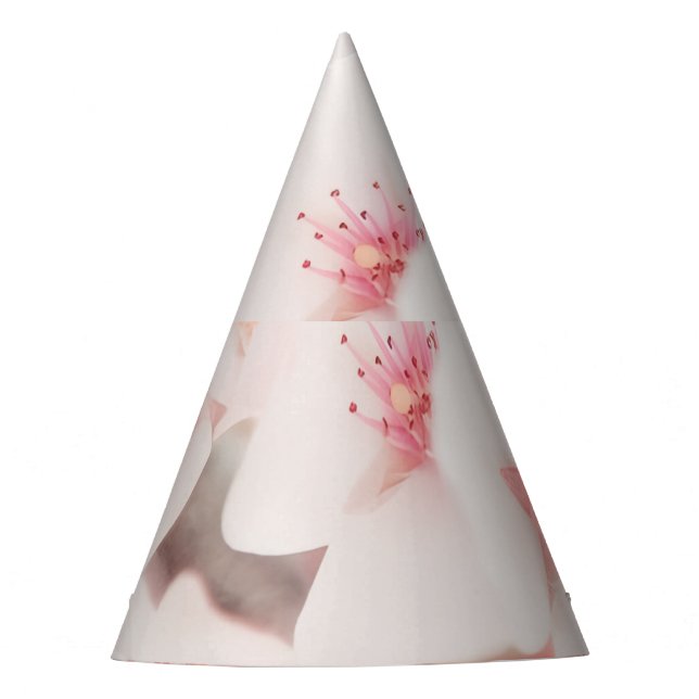 Chapéu De Festa Hat da festa (Frente)