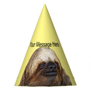 Chapéu De Festa Lama