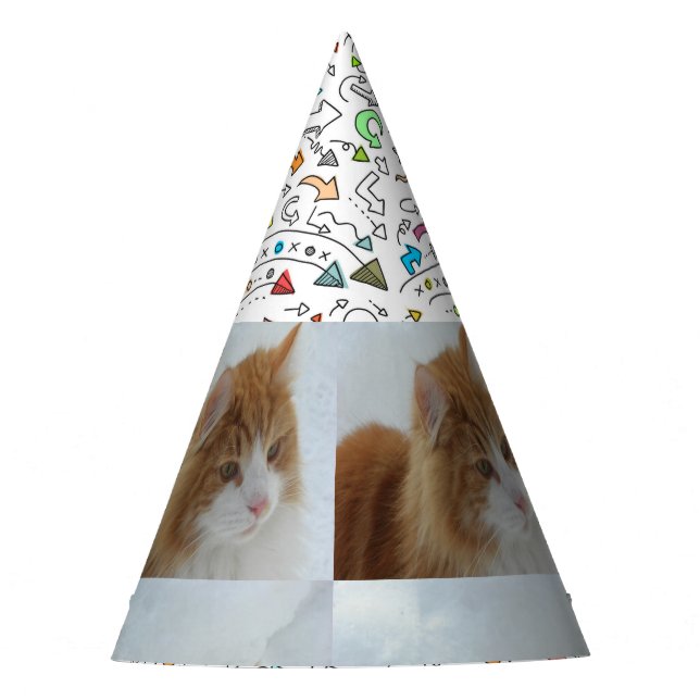 Chapéu De Festa Norwegian_Forest_Cat (Frente)