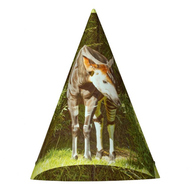 Chapéu De Festa okapi (Frente)