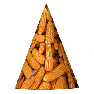 Chapéu De Festa Orange Corn Cob: Colheita de Fundo Agrícola