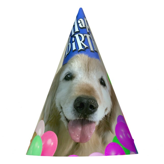 Chapéu De Festa Ouro Retriever Cachorro Com Balões Aniversário (Frente)