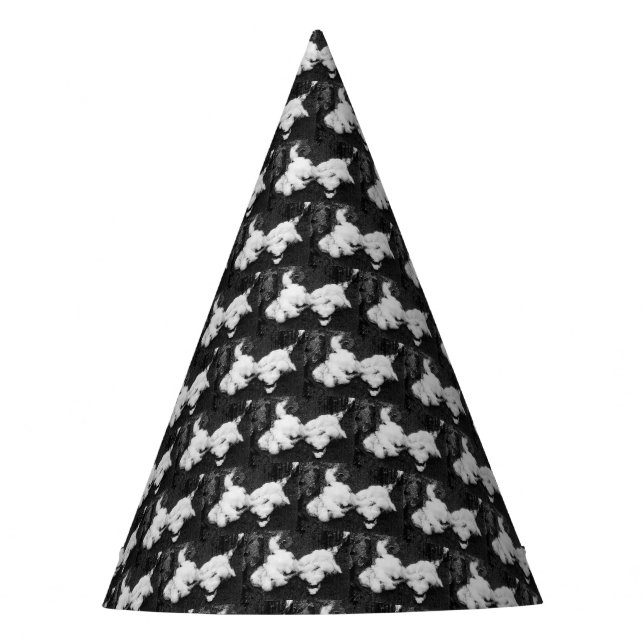 Chapéu De Festa para baixo do flaffy party hat (Frente)