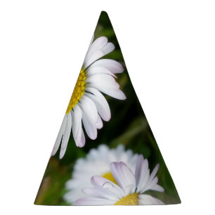 Chapéu De Festa Pequenas margaridas