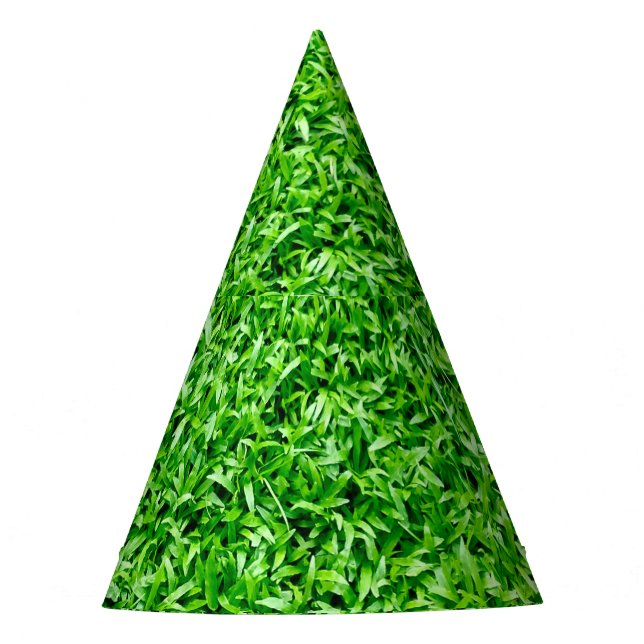 Chapéu De Festa relva verde (Frente)