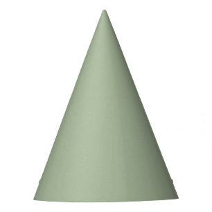 Chapéu De Festa Sage Green Solid Color Party Hat