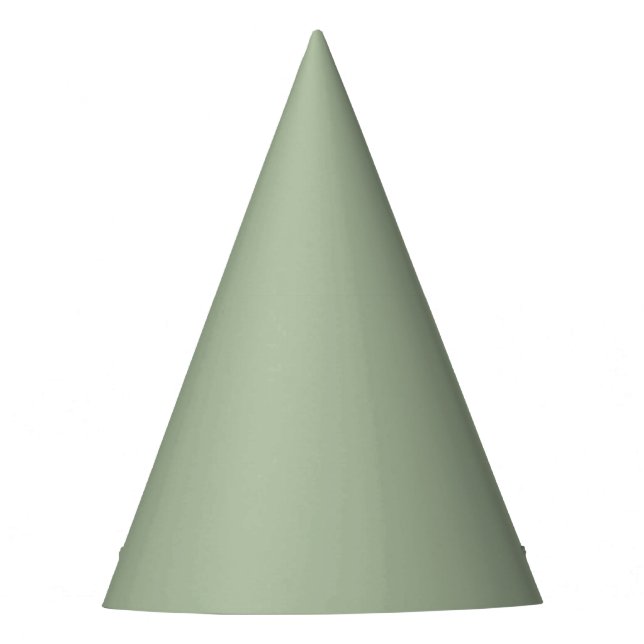 Chapéu De Festa Sage Green Solid Color Party Hat (Frente)