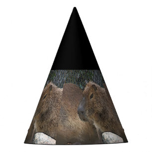 Chapéu De Festa toony Capibarah