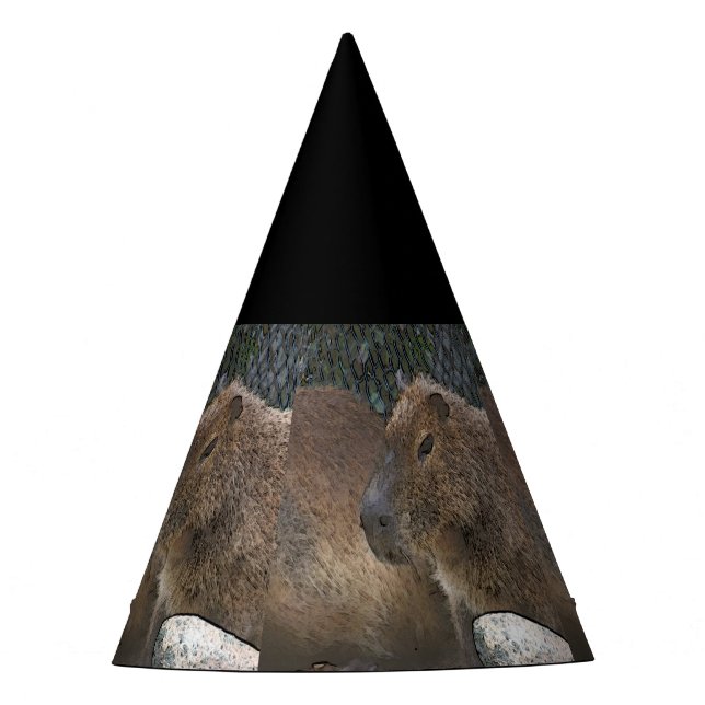 Chapéu De Festa toony Capibarah (Frente)