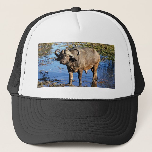 Chapéus & bonés do safari do búfalo do cabo (Frente)