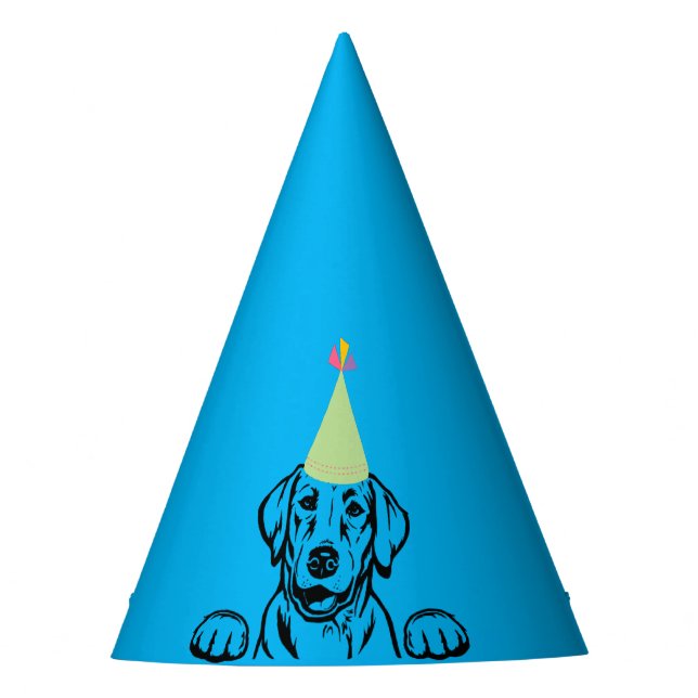 Chapéus do Partido Labrador "Vamos PEGAR" (Frente)