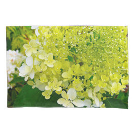 Chartreuse Green, Limelight Hydrangea,