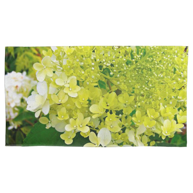 Chartreuse Verde, Limelight Hortênsia, (Frente-Esquerda)