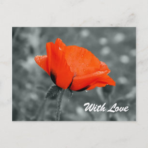 Chave de cores Com cartão postal de amor