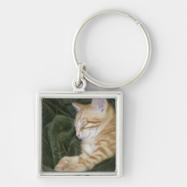 CHAVEIRO 0 2 (Frente)