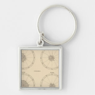 Chaveiro 115 Mortes por febre dos escaravelhos, difteria