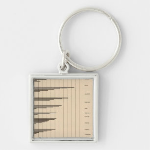 Chaveiro 20 População urbana a total por estados