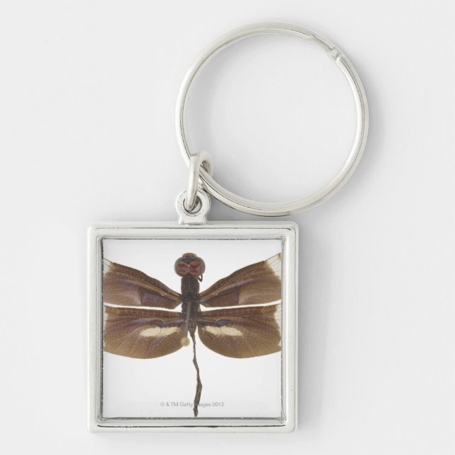 CHAVEIRO 23599152 (Frente)