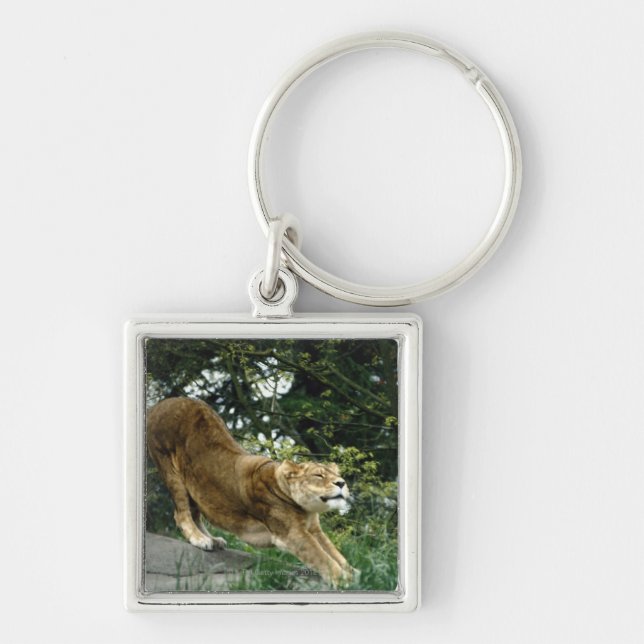 CHAVEIRO 24114343 (Frente)