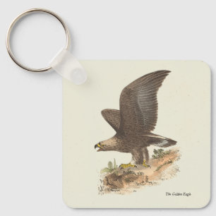 Chaveiro A Águia Ouro (Aquila chrysaetos) NY Imagem do Páss