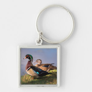 Chaveiro À beira do lago, Pato-mandarin