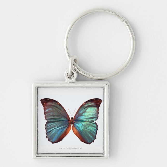 Chaveiro A borboleta com asas espalhou 2 (Frente)