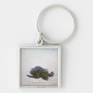 Chaveiro A borda da água