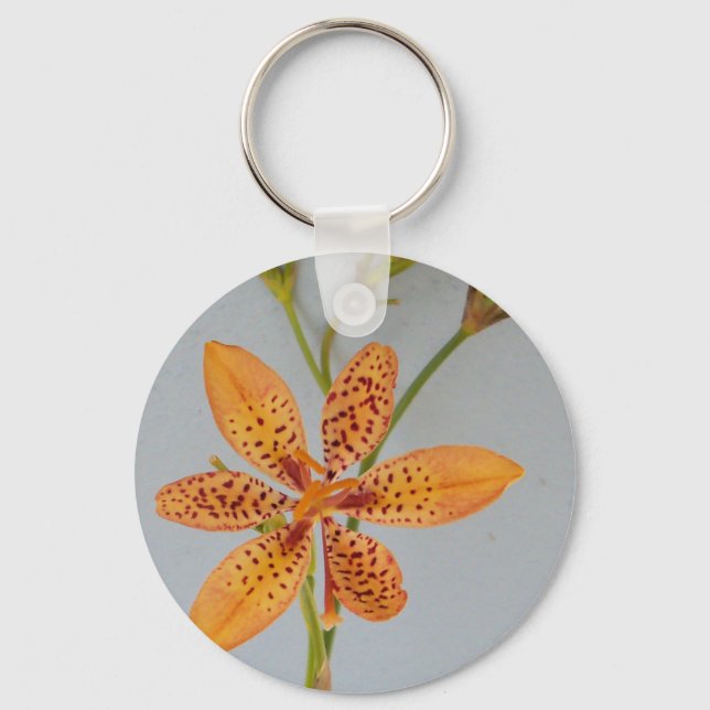 Chaveiro A Iris, avistada por laranja, chamava-se Lily Blac (Frente)