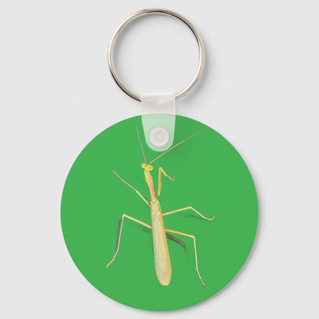 Chaveiro A Mantis, (Frente)