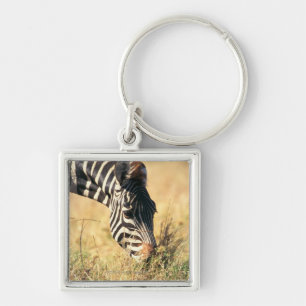 Chaveiro A zebra 2 de Burchell