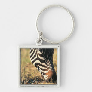 Chaveiro A zebra de Burchell