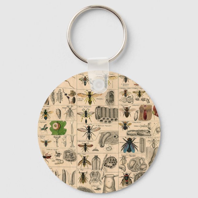 Chaveiro Abelhas De Inseto Insetos Vaza História Natural (Frente)