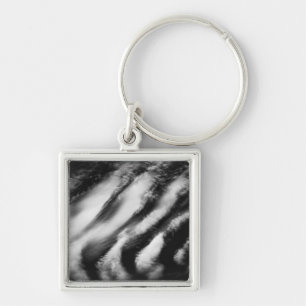 Chaveiro abutres caídos