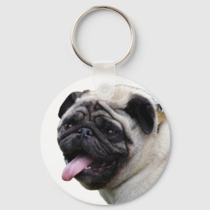Chaveiro Acessórios de fotos de Pug branco e bonito, adicio