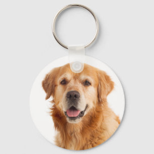 Chaveiro Achar Cachorro Filhote Golden Retriever Porta-Chav
