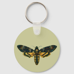 Chaveiro Acherontia atropos (Hawkmoth Cabeça da Morte)