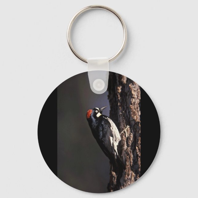 Chaveiro Acorn Woodpecker (Frente)