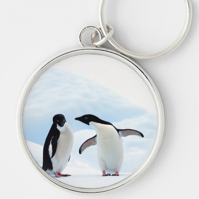 Chaveiro Adelie Penguins (Frente)