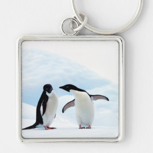 Chaveiro Adelie Penguins