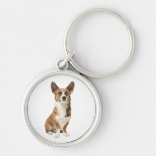Chaveiro Adorável Cardigan Welsh Corgi Cachorrinho Amante