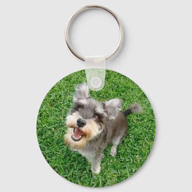Chaveiro Adorável miniatura Schnauzer pronto para tocar (Frente)