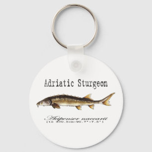 Chaveiro Adriatic Sturgeon Item