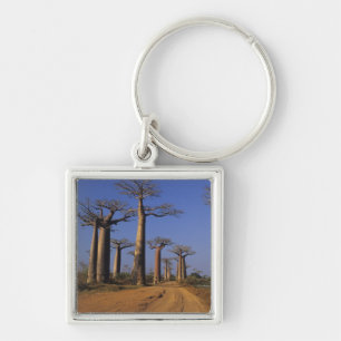 Chaveiro África, Madagáscar, Morondava, Avenida Baobab.