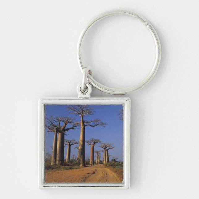 Chaveiro África, Madagascar, Morondava, Avenida Baobab. (Frente)