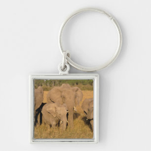 Chaveiro África, Quênia, Masai Mara. Elefante Africano
