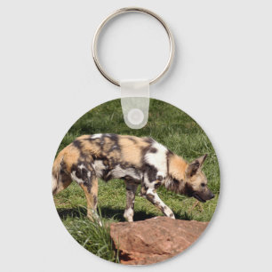 Chaveiro african-wild-dog-010