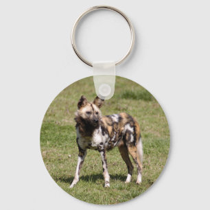 Chaveiro african-wild-dog-015