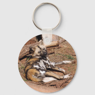 Chaveiro african-wild-dog-018